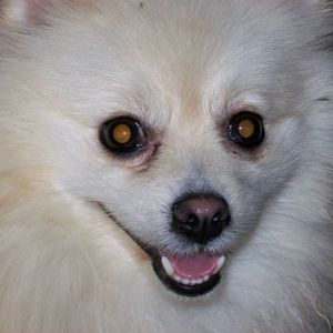 Meet your Posher, Jeff